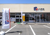 䑷qX